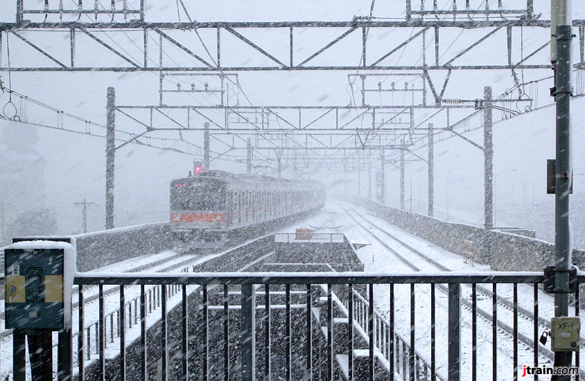 Maihama Snow